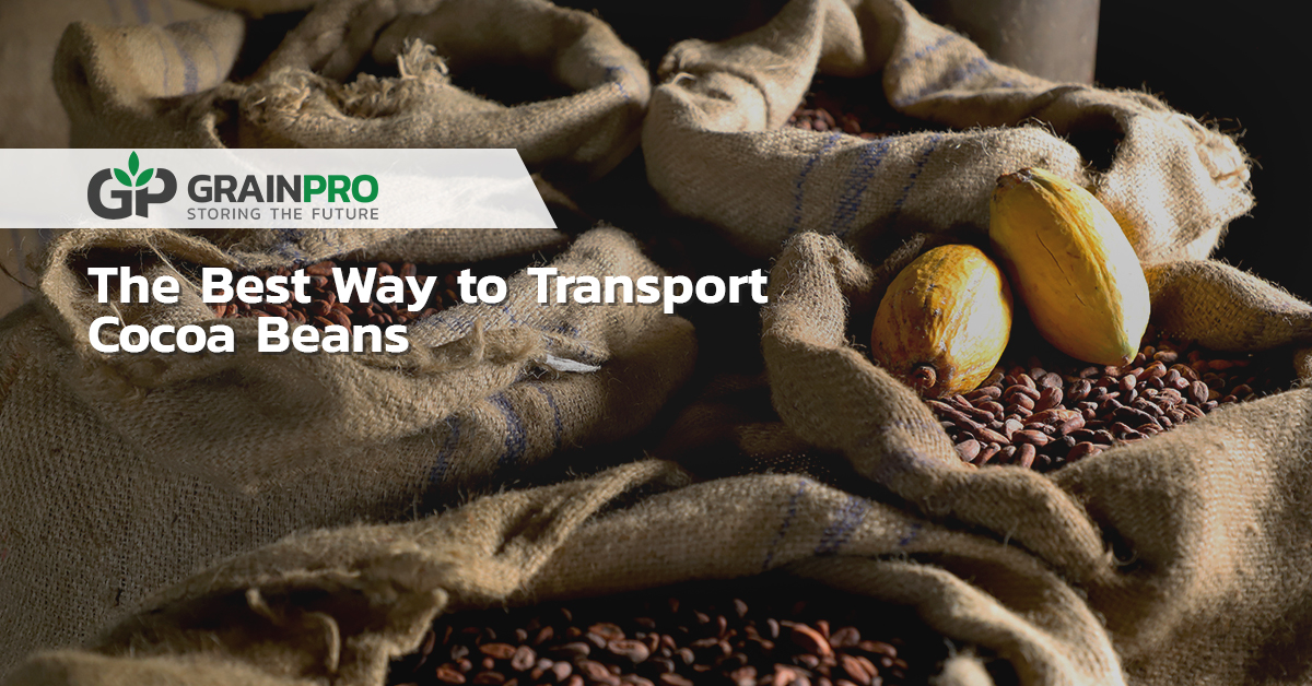 The Best Way to Transport Cocoa Beans